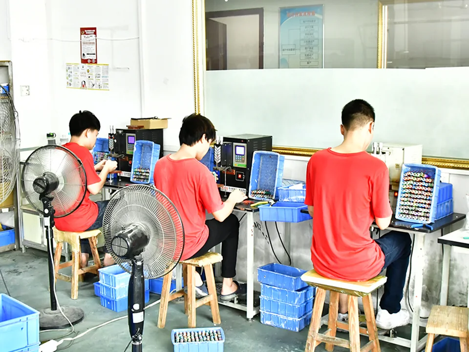 BAIFEI lighting function testing for a custom garden lighting program