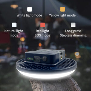 B06 magnetic and tabletop use