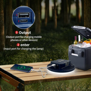 B06 home backup and device charging scene